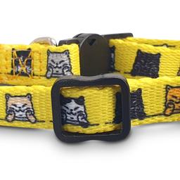 Amigo Cat Collar