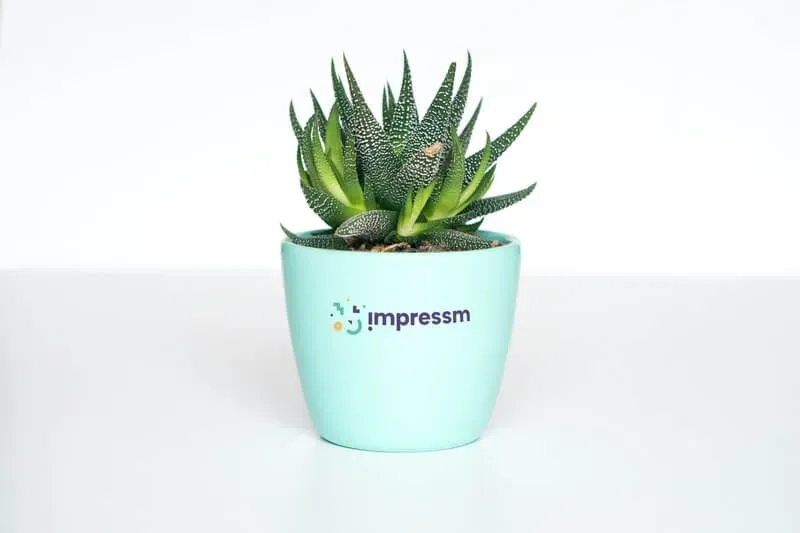 Branded plant pot